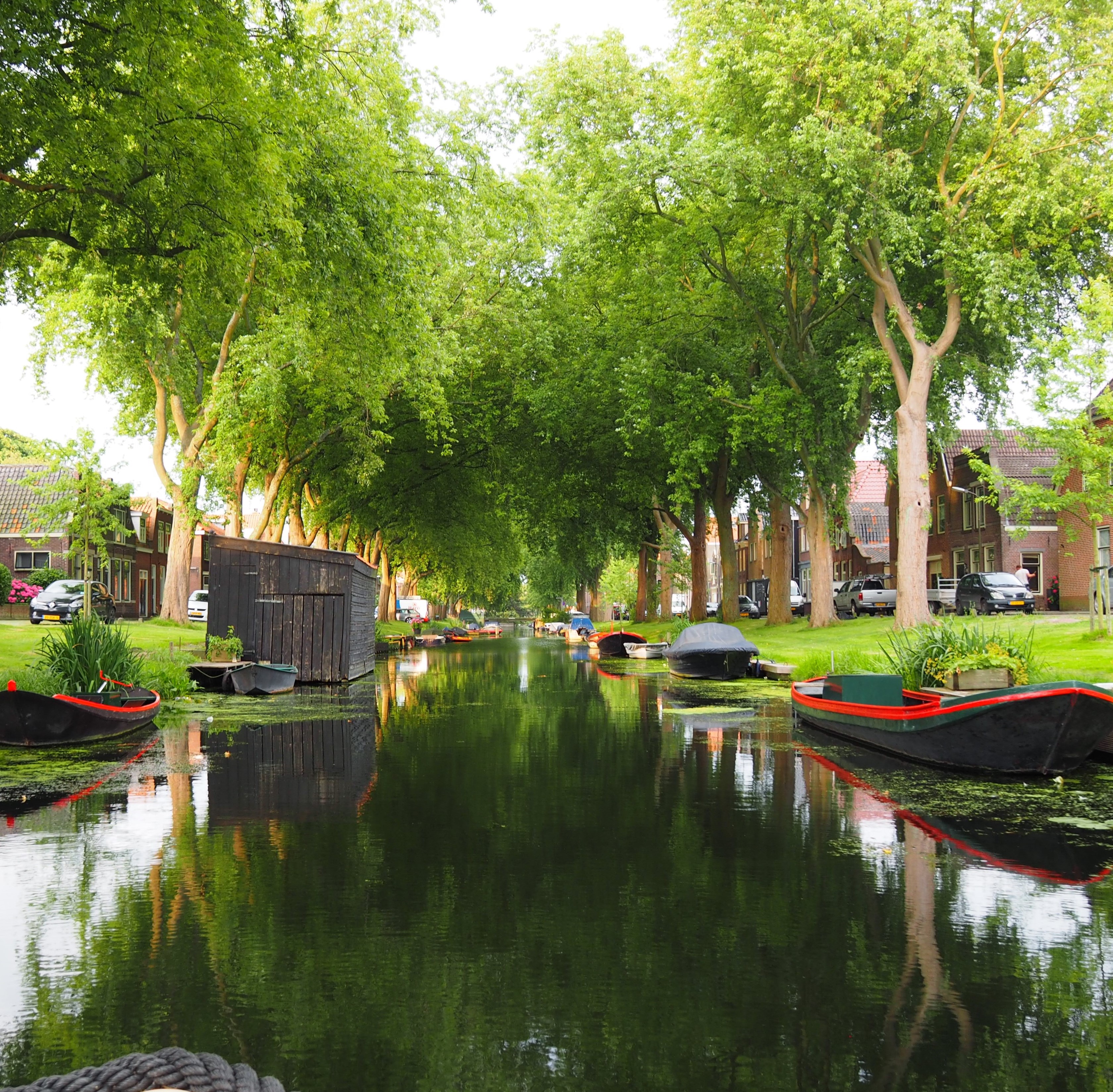 Rondvaart (per ticket) van Rondvaart Enkhuizen in Enkhuizen